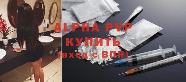 PSILOCYBIN Ельня