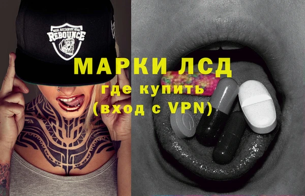 PSILOCYBIN Ельня