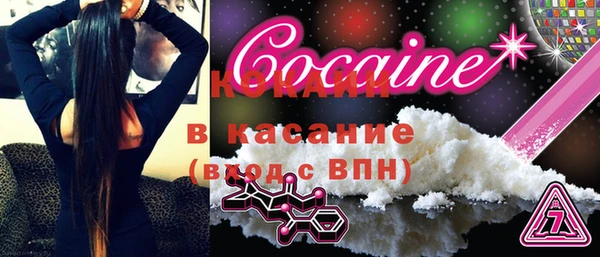 PSILOCYBIN Ельня
