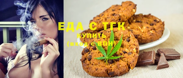 PSILOCYBIN Ельня