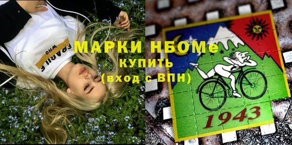 PSILOCYBIN Ельня