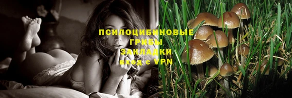не бодяженный Елабуга