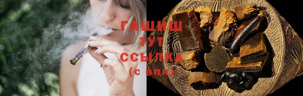 PSILOCYBIN Ельня