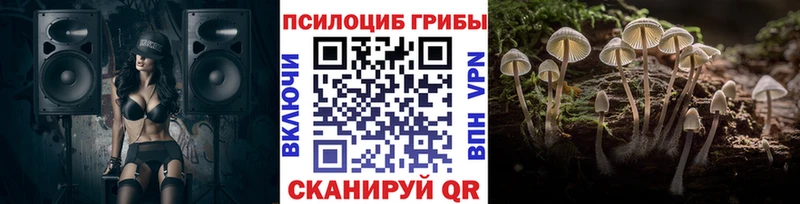 Псилоцибиновые грибы MAGIC MUSHROOMS цены наркотик Исилькуль